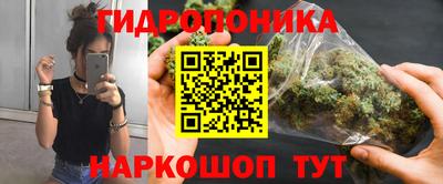 прущие крисы Моздок